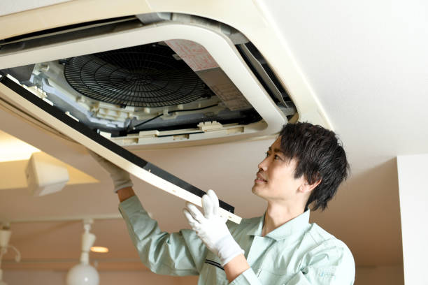 Best Professional Duct Cleaning Services  in Martin, TN