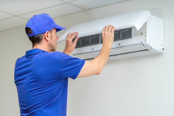 Best Air Vent Cleaning Services  in Martin, TN