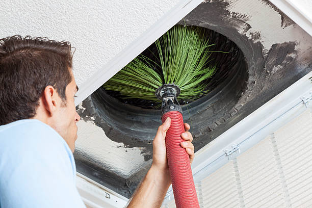 Best Residential Air Duct Cleaning  in Martin, TN